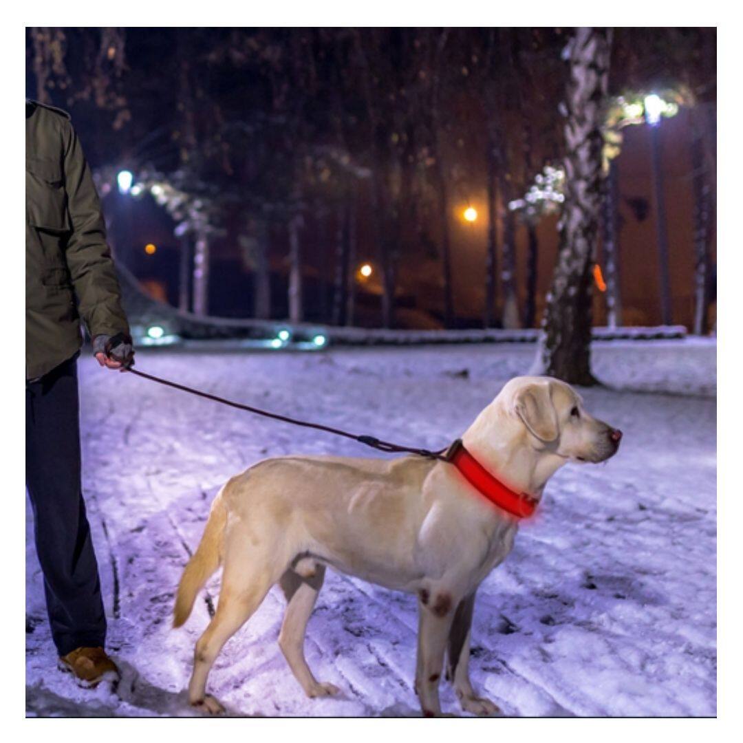 Alt View 1. DirectDeals - LED Dog Collar – USB Rechargeable Safety Light - Red.