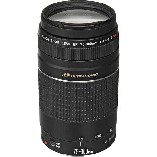 Canon - EF 75-300mm f/4-5.6 III USM Lens (International Model) - Black