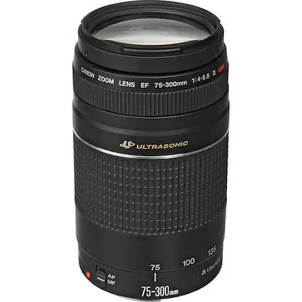 CANON I USM ZOOM 1:4-5.6 LENS EF 75-300mm ULTRASONIC AF MF 135 100 75 Es 1 75-300mm