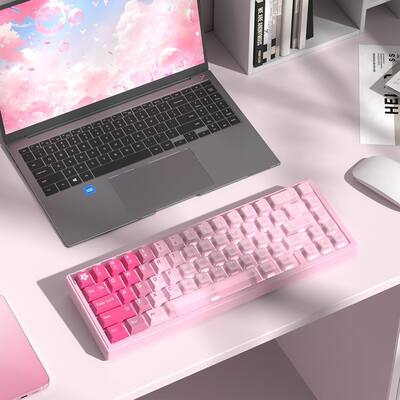 Touches Clavier PBT Womier Shine Through Lot De Touches En PBT 60 à 75, Profil Profil Cherry Dégradé Violet Touches Clavier PBT Womier Shine Through Lot De Touches En PBT 60 à 75, Profil Profil Cherry Dégradé Violet