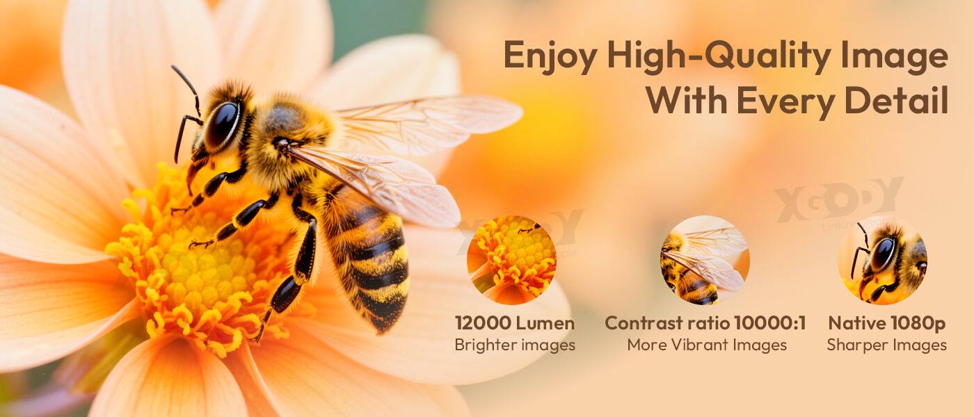 Enjoy High-Quality Image With Every Detail

- 12000 Lumen
  - Brighter images

- Contrast ratio 10000:1
  - More Vibrant Images

- Native 1080p
  - Sharper Images