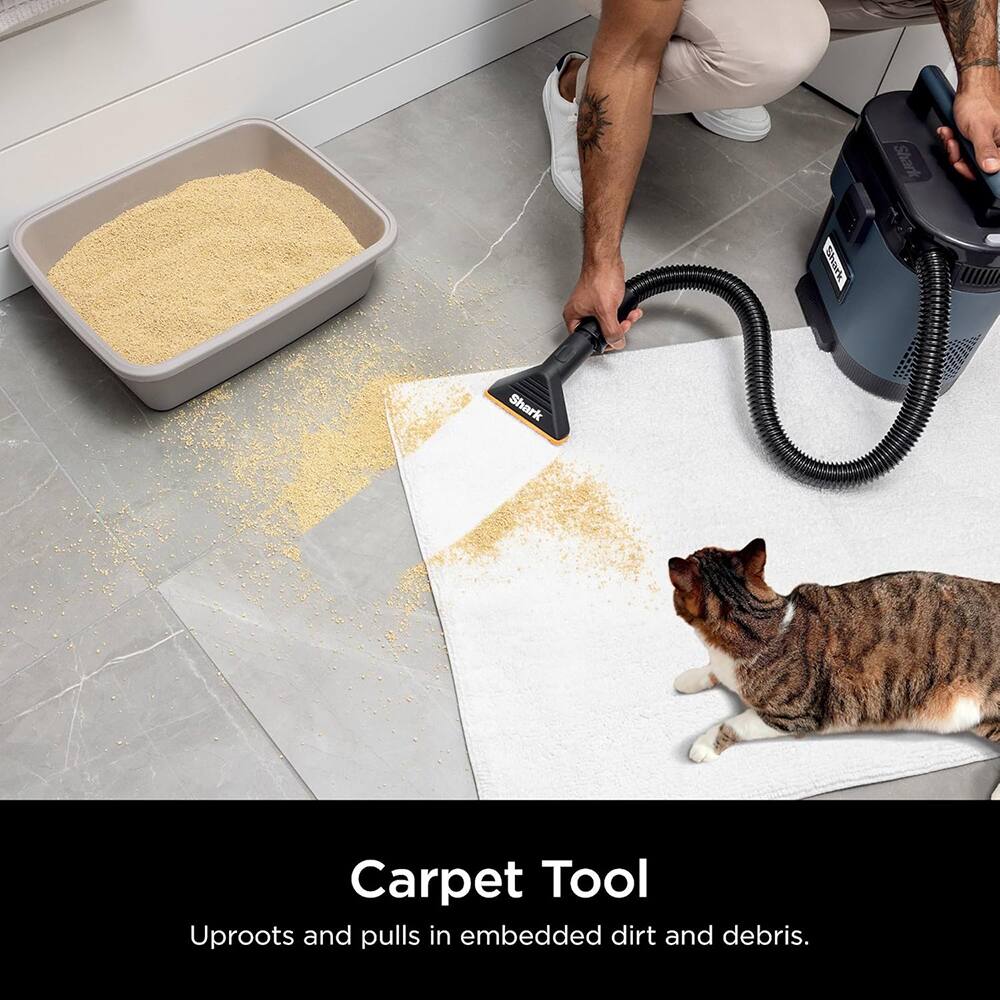 Carpet Tool  
Uproots and pulls in embedded dirt and debris.