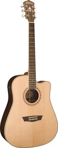 washburn wd20