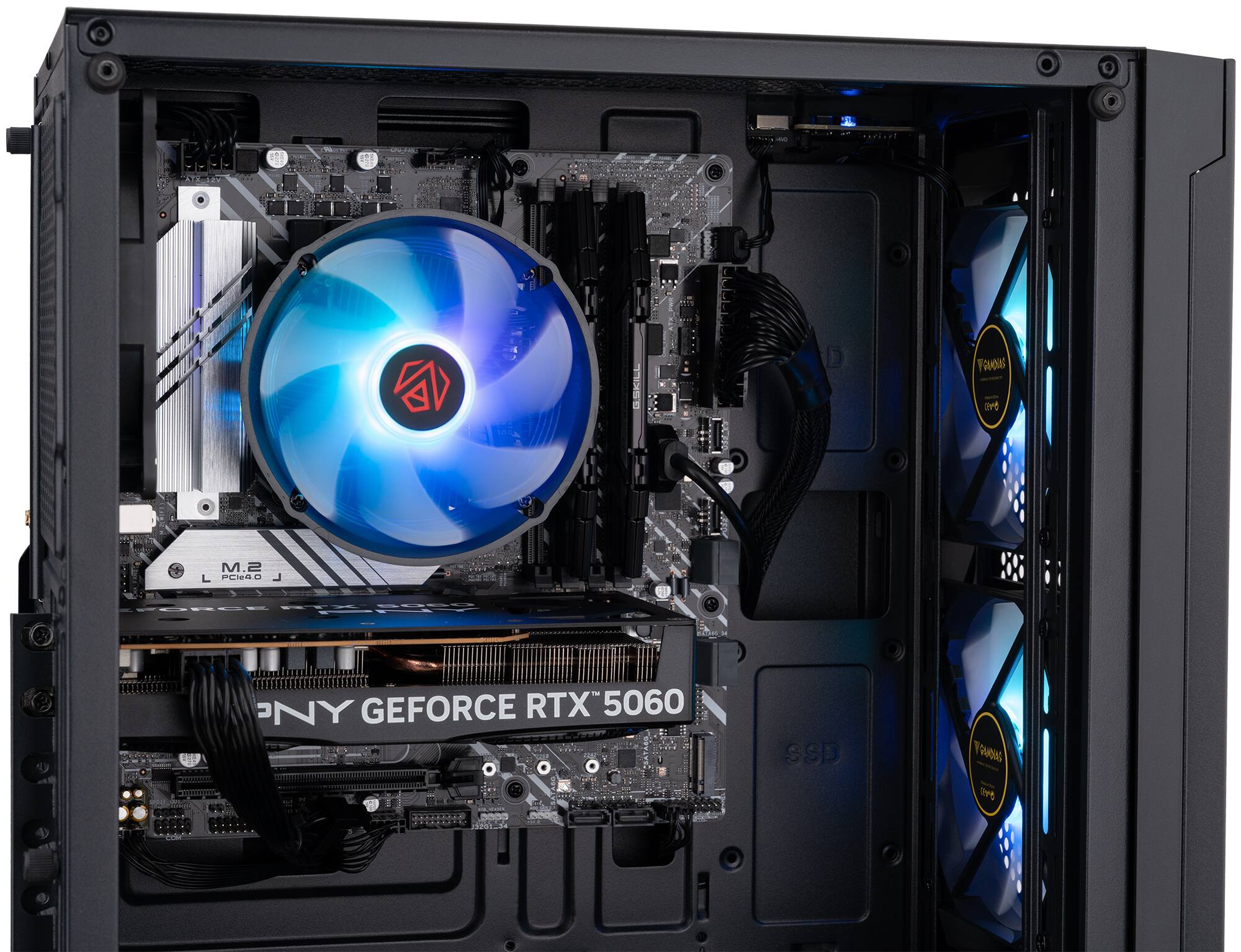 Faveis aord M.2 L PERAC PNY GEFORCE RTX 5060 SSD Youens 1