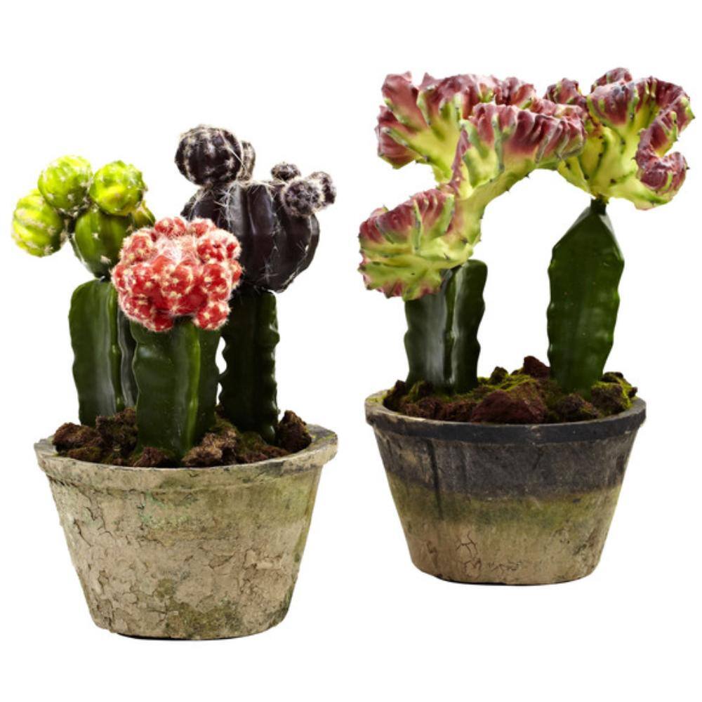 Front. BreeBe - Colorful Cactus Gardens (Set of 2) - Multicolor 1.