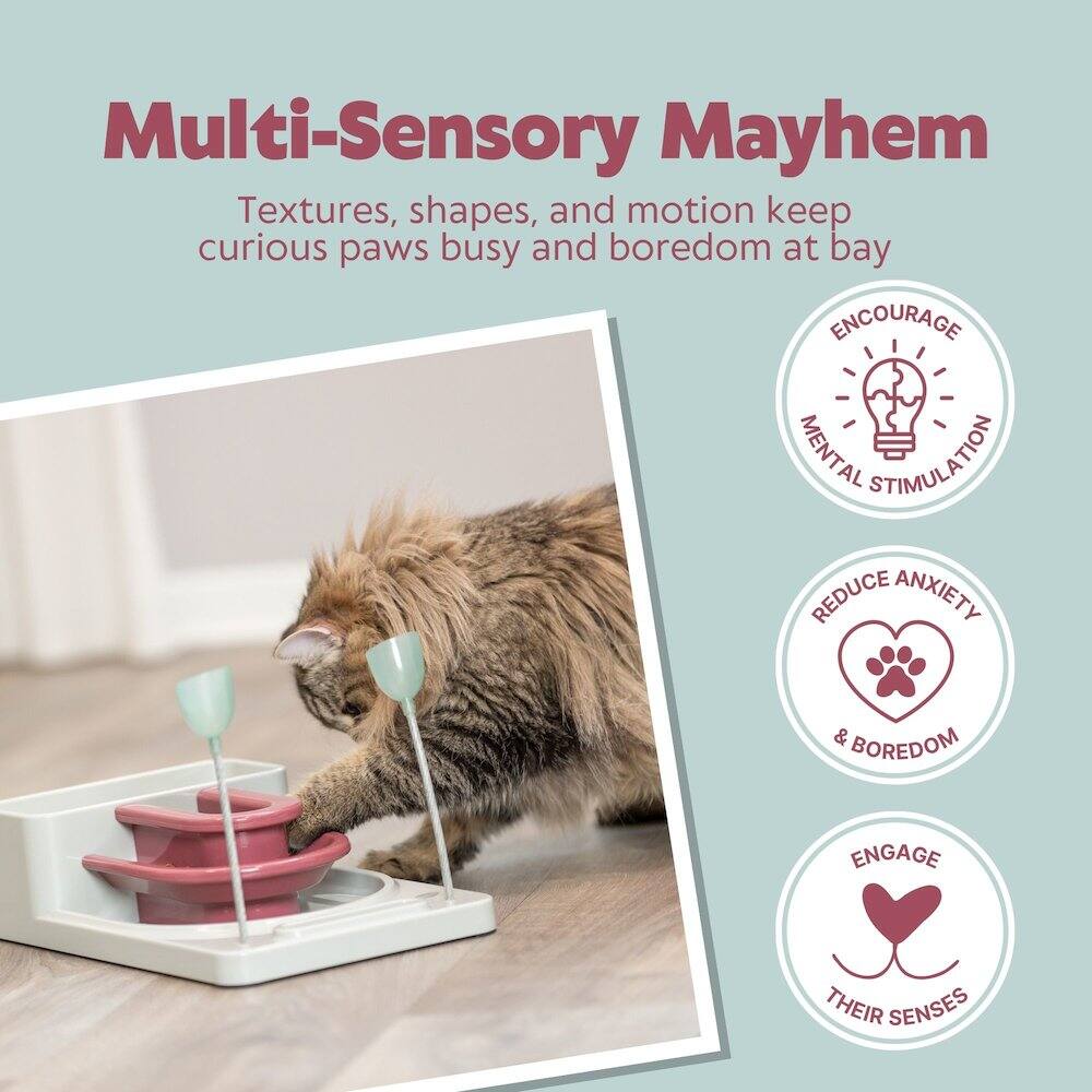 Multi-Sensory Mayhem

Textures, shapes, and motion keep curious paws busy and boredom at bay

- ENCOURAGE MENTAL STIMULATION
- REDUCE ANXIETY & BOREDOM
- ENGAGE THEIR SENSES