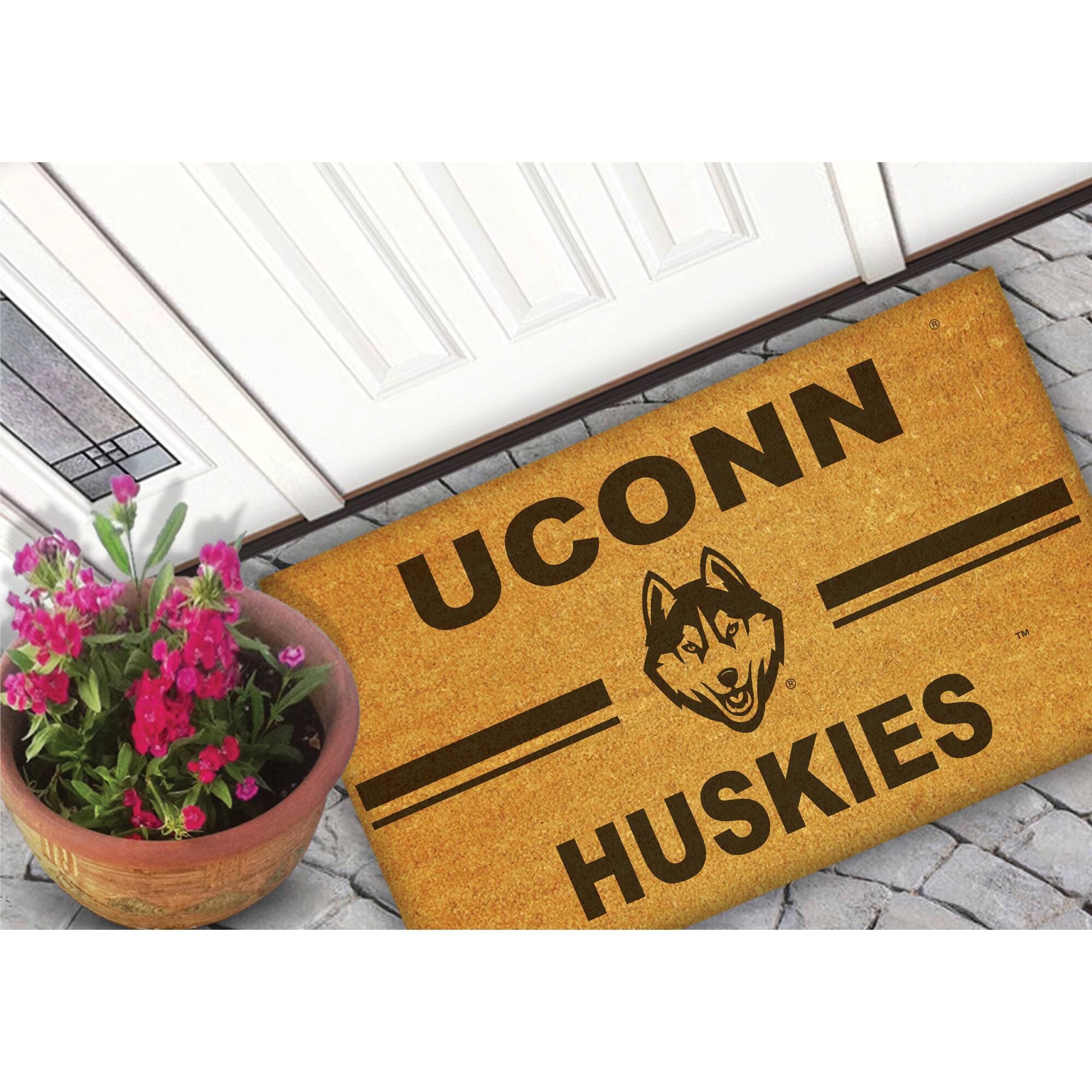 UCONN  
HUSKIES
