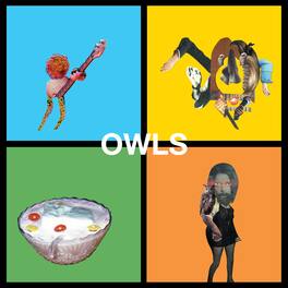 The Owls - Owls - VINYL LP