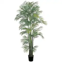 BreeBe - 7' Areca Palm Tree x 9 w/1816 Lvs - Green