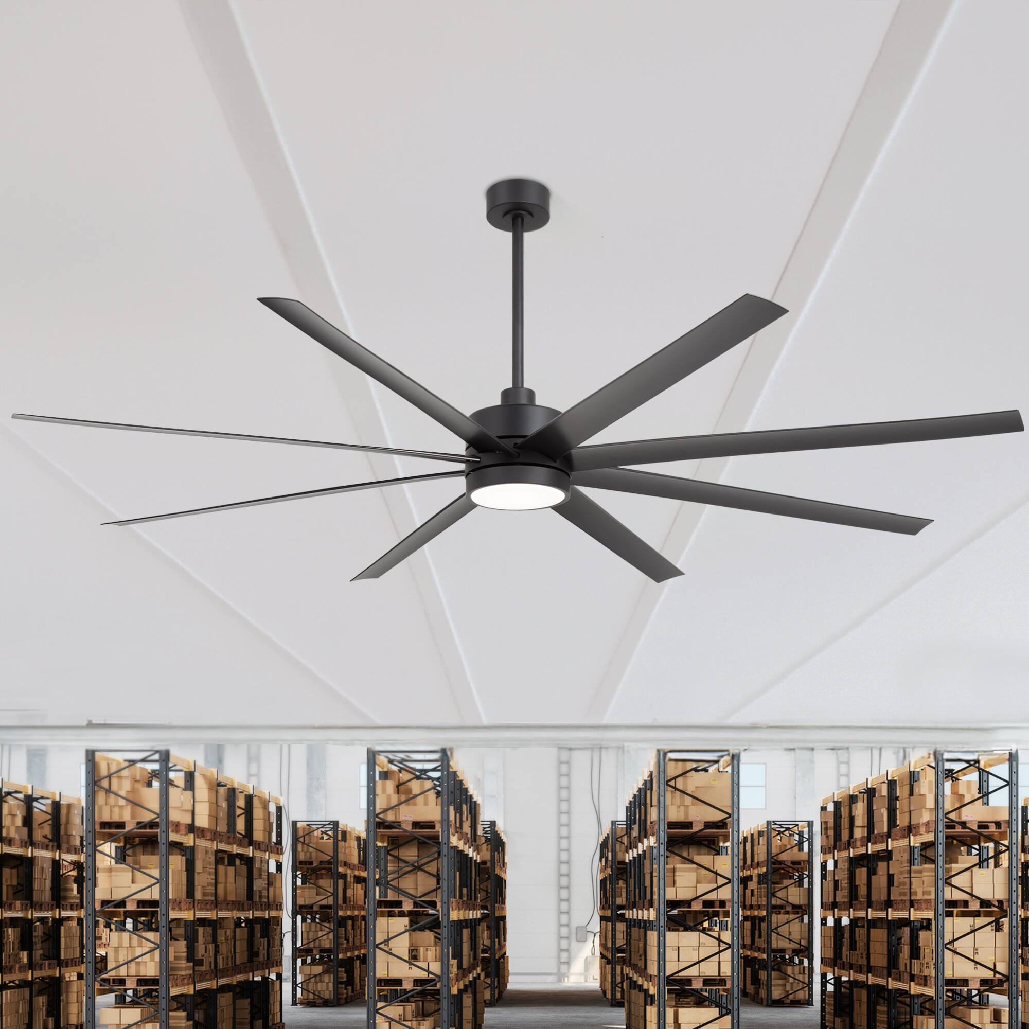 Matte Black (With Light)