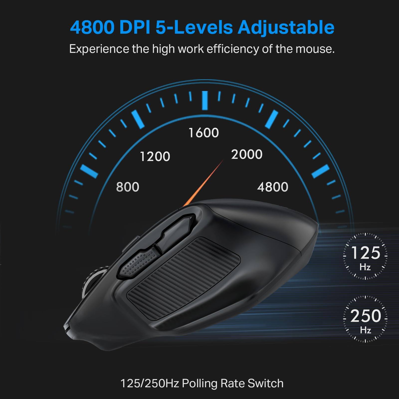 4800 DPI 5-Levels Adjustable  
Experience the high work efficiency of the mouse.  

125/250Hz Polling Rate Switch