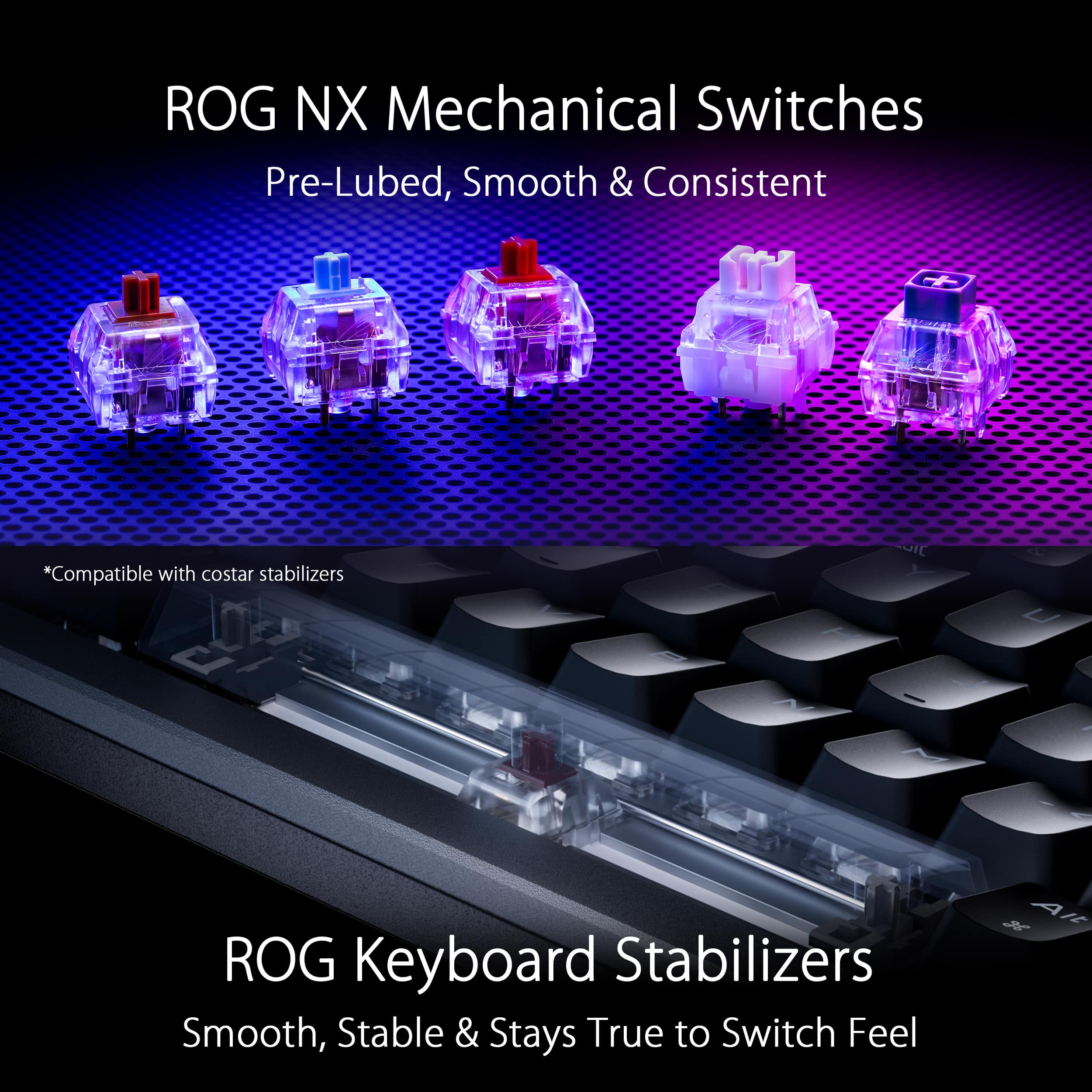 ROG NX Mechanical Switches: Pre-Lubed, Smooth & Consistent *Compatible with costar stabilizers OIL
ROG Keyboard Stabilizers: Smooth, Stable & Stays True to Switch Feel