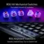 ROG NX Mechanical Switches: Pre-Lubed, Smooth & Consistent *Compatible with costar stabilizers OIL
ROG Keyboard Stabilizers: Smooth, Stable & Stays True to Switch Feel