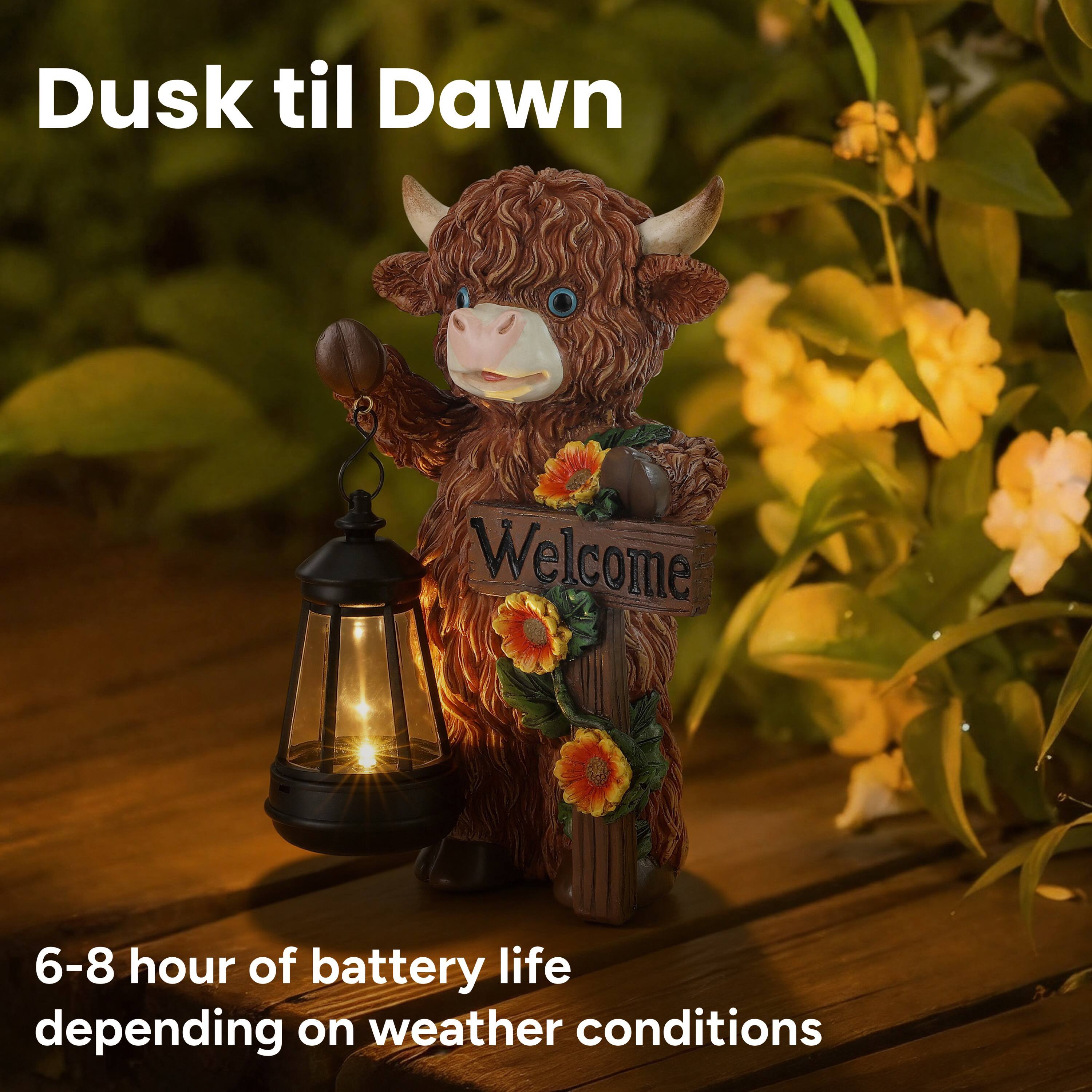 Dusk til Dawn  
Welcome  

6-8 hour of battery life depending on weather conditions