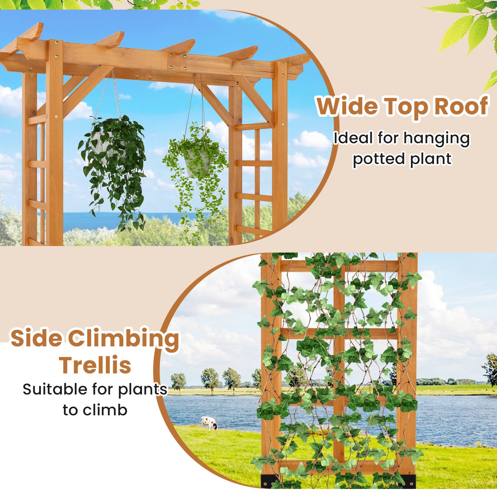 Wide Top Roof  
Ideal for hanging potted plant  

Side Climbing Trellis  
Suitable for plants to climb