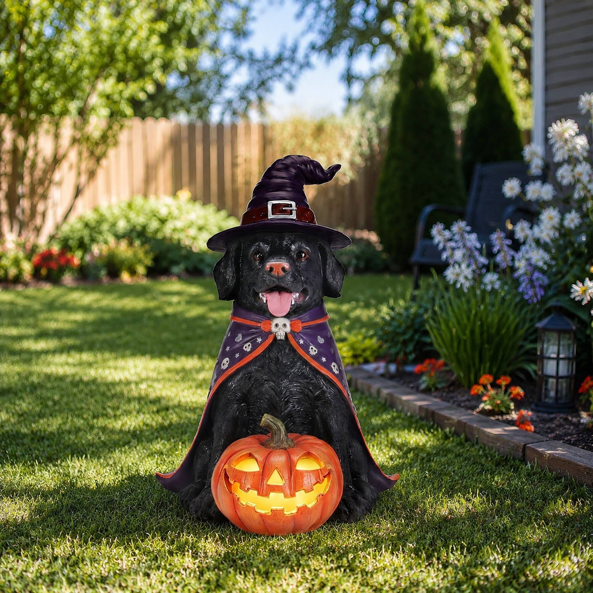 Alt View 2. RYHNUYNE - Halloween Black Lab Dog Statue with Witch Hat Cape and Glowing Jack-O-Lantern Pumpkin for Spooky Porch Decor - Black.