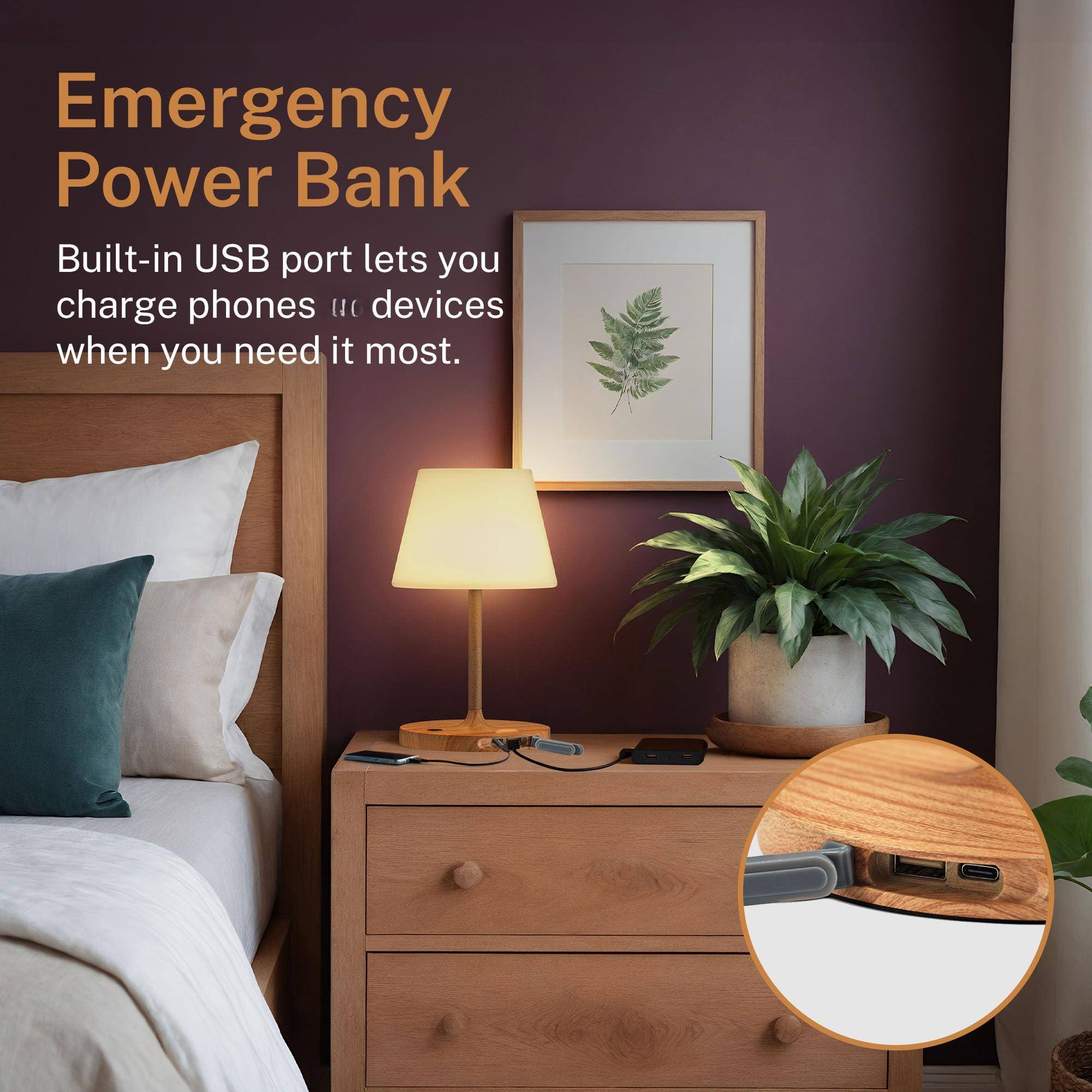 Emergency Power Bank

Built-in USB port lets you charge phones and devices when you need it most.