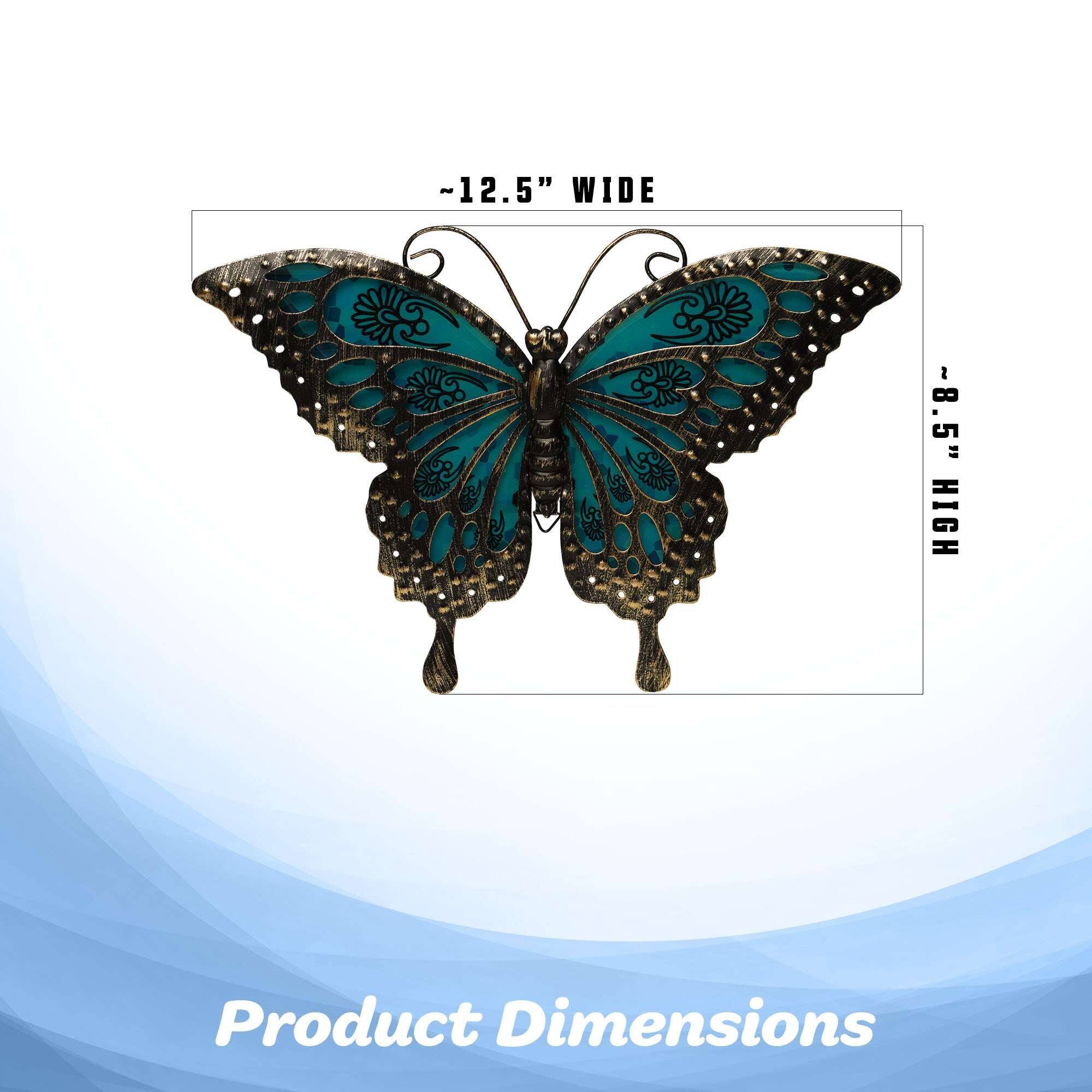 12.5" WIDE x 8.5" HIGH  
Product Dimensions