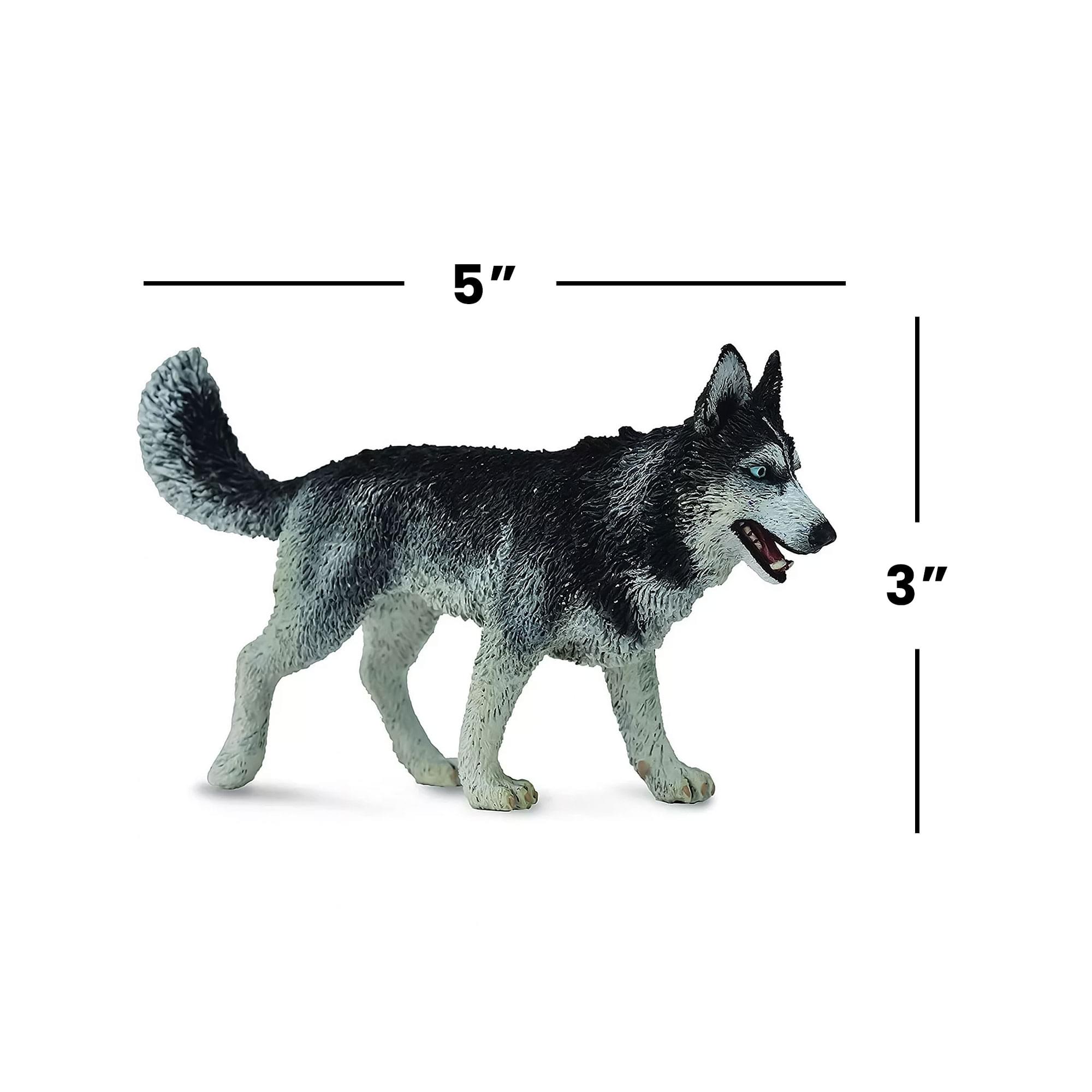 Alt View 2. Breyer Animal Creations - CollectA Cats & Dogs Collection Miniature Figure | Siberian Husky - Grey.