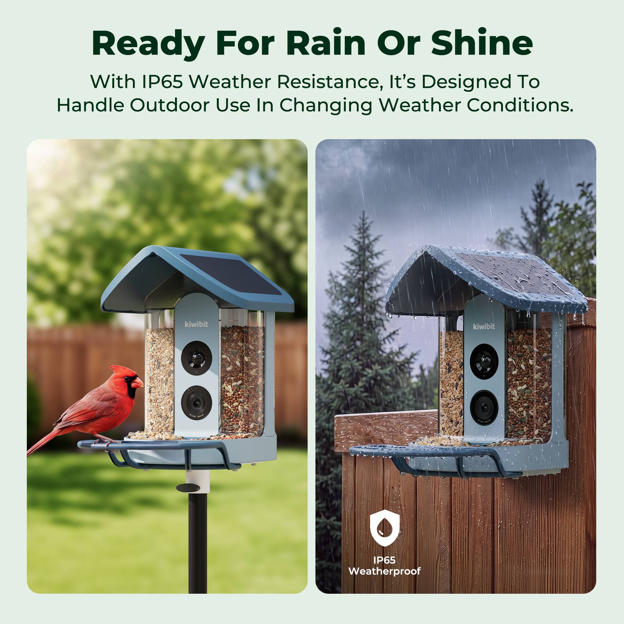Ready For Rain Or Shine

With IP65 Weather Resistance, It's Designed To Handle Outdoor Use In Changing Weather Conditions.

kiwibit

IP65 Weatherproof