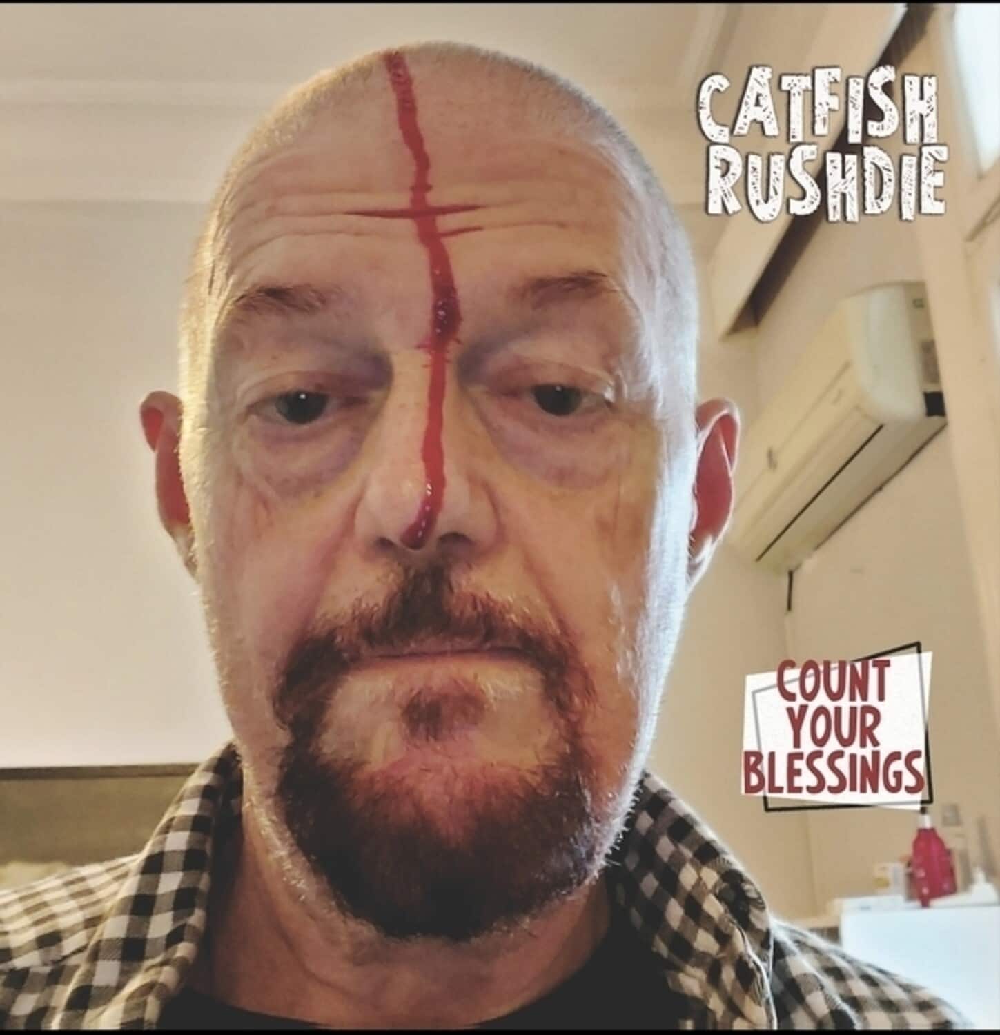 Catfish Rushdie - Count Your Blessings   - VINYL LP price history on PriceWatchPro