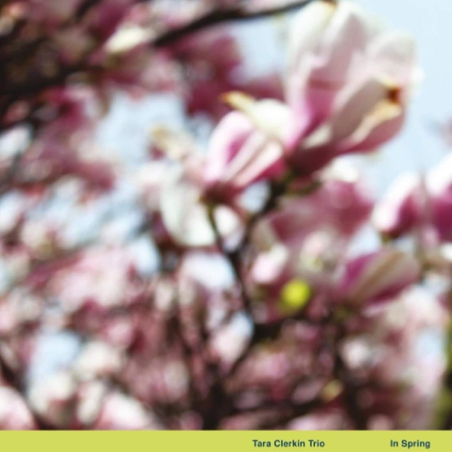 Tara Clerkin - In Spring   - VINYL LP price history on PriceWatchPro