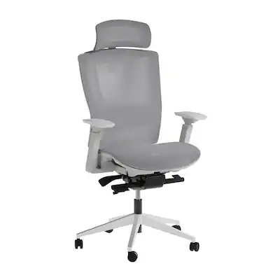 Autonomous ErgoChair Pro Office Chair Lumbar Support Mesh Cool