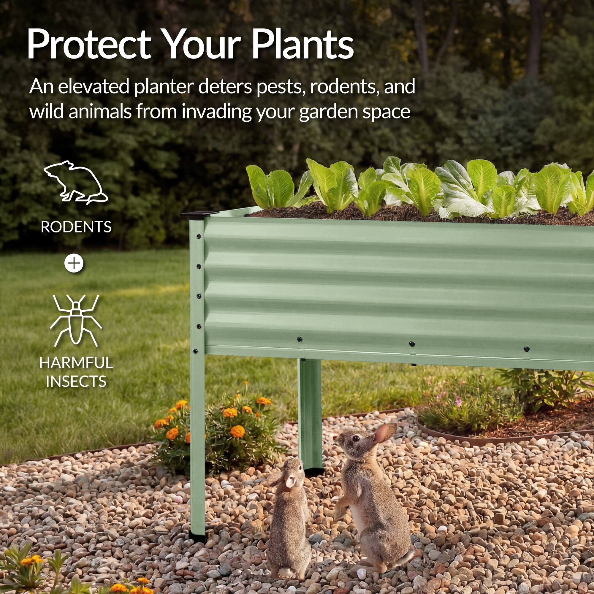 Protect Your Plants

An elevated planter deters pests, rodents, and wild animals from invading your garden space

RODENTS + HARMFUL INSECTS