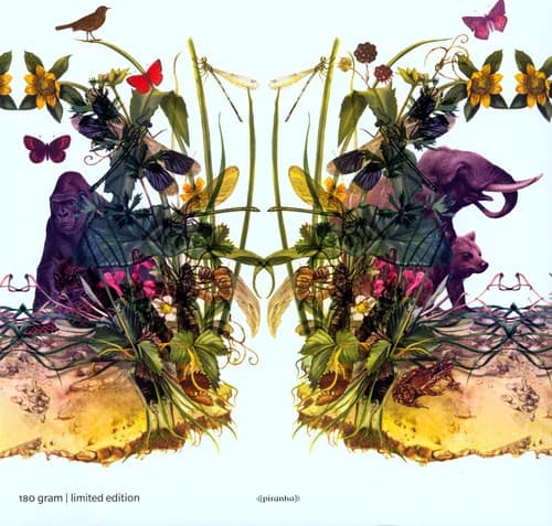 Dunkelbunt - Raindrops & Elephants   - VINYL LP price history on PriceWatchPro