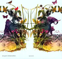 Dunkelbunt - Raindrops & Elephants - VINYL LP
