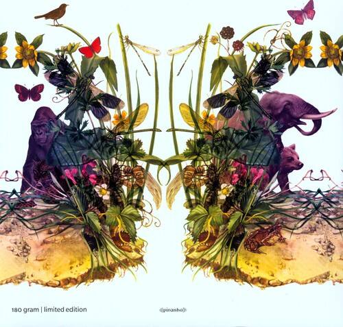 Dunkelbunt - Raindrops & Elephants   - VINYL LP