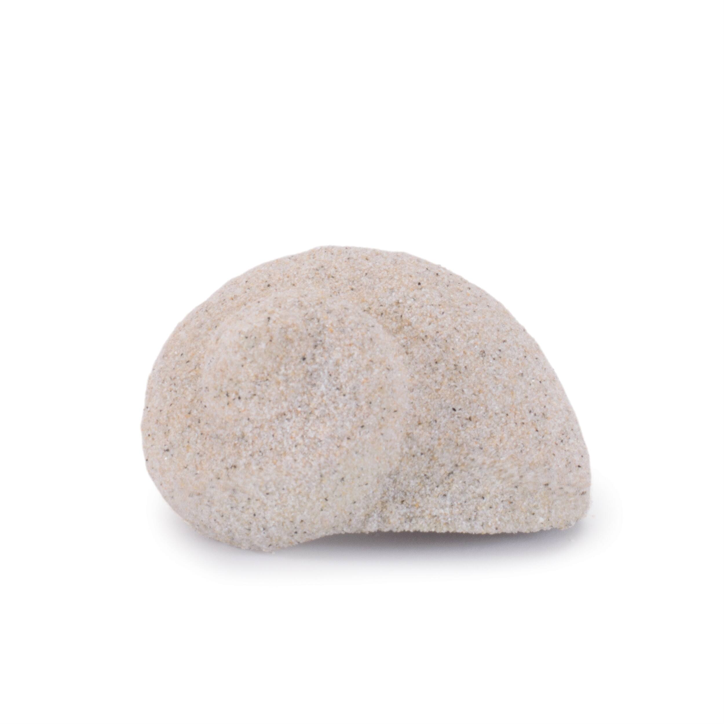 Back. BreeBe - Sea Shell Filler Decor (Set of 12) - Beige.