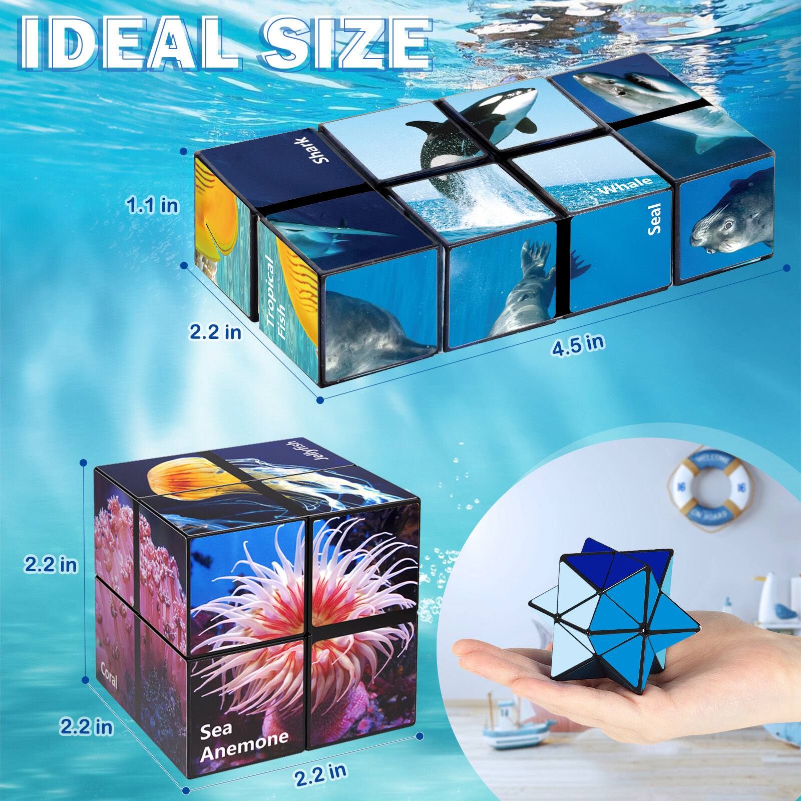 IDEAL SIZE

1.1 in  
2.2 in  
Shark  
Tropical Fish  
Whale  
Seal  
4.5 in  

2.2 in  
Coral  
2.2 in  
Sea Anemone  
2.2 in
