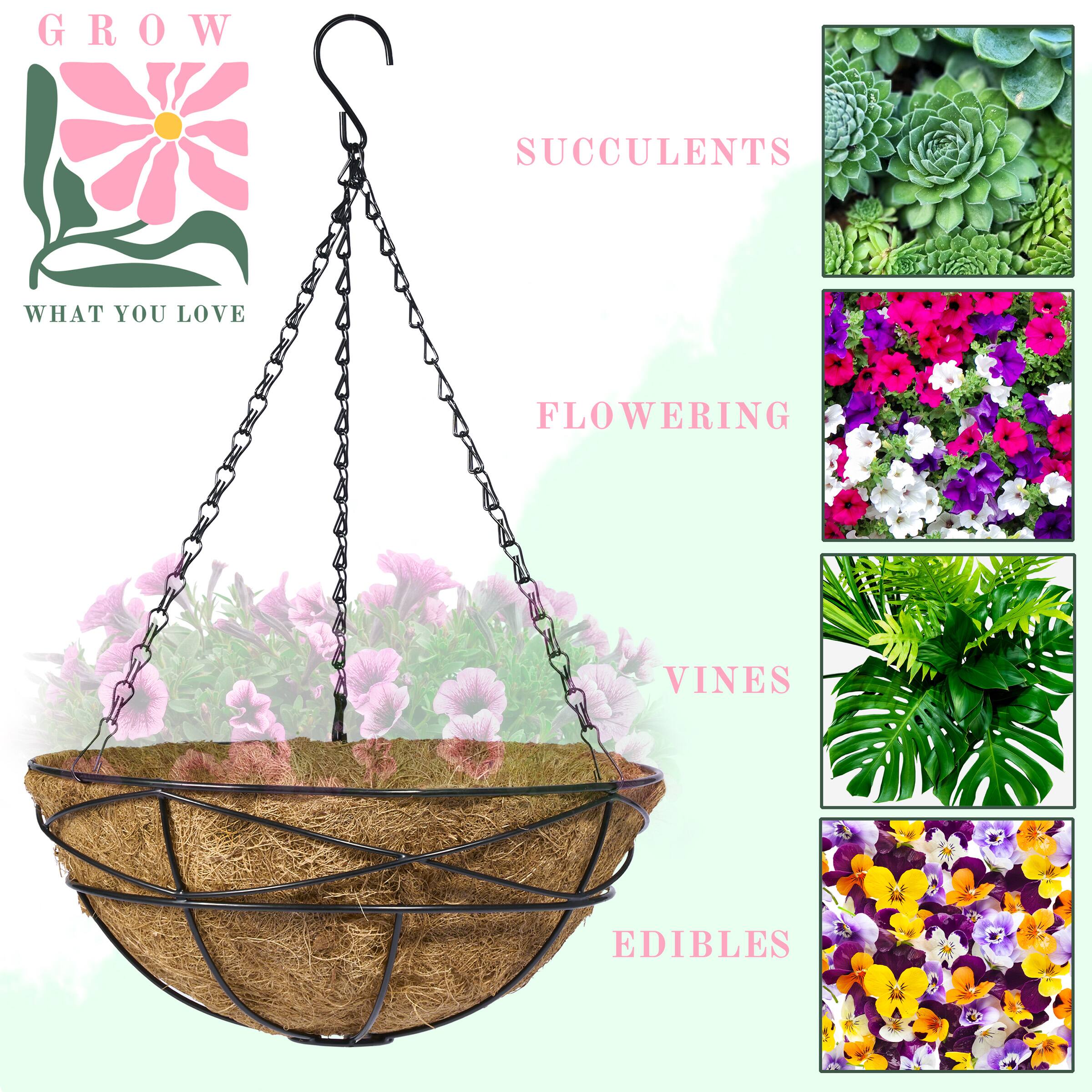 GROW  
WHAT YOU LOVE  

- SUCCULENTS  
- FLOWERING  
- VINES  
- EDIBLES