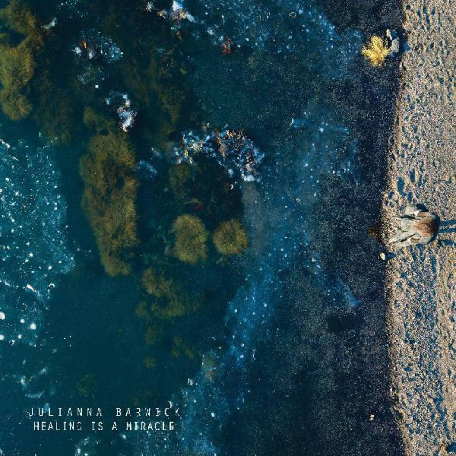Julianna Barwick - Healing Is A Miracle   - COMPACT DISCS [CD] price history on PriceWatchPro