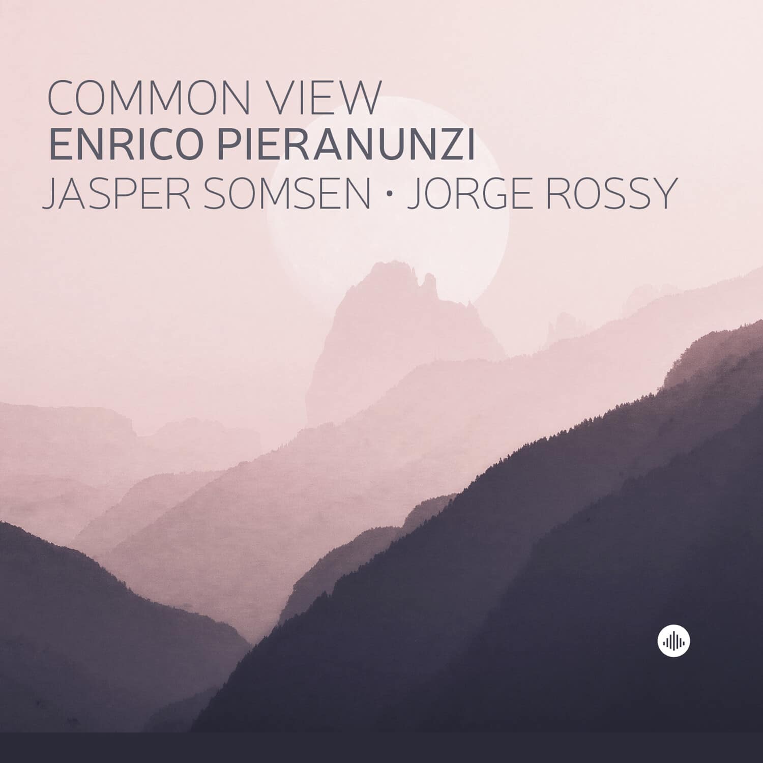 Various Artists - Common View   - COMPACT DISCS
