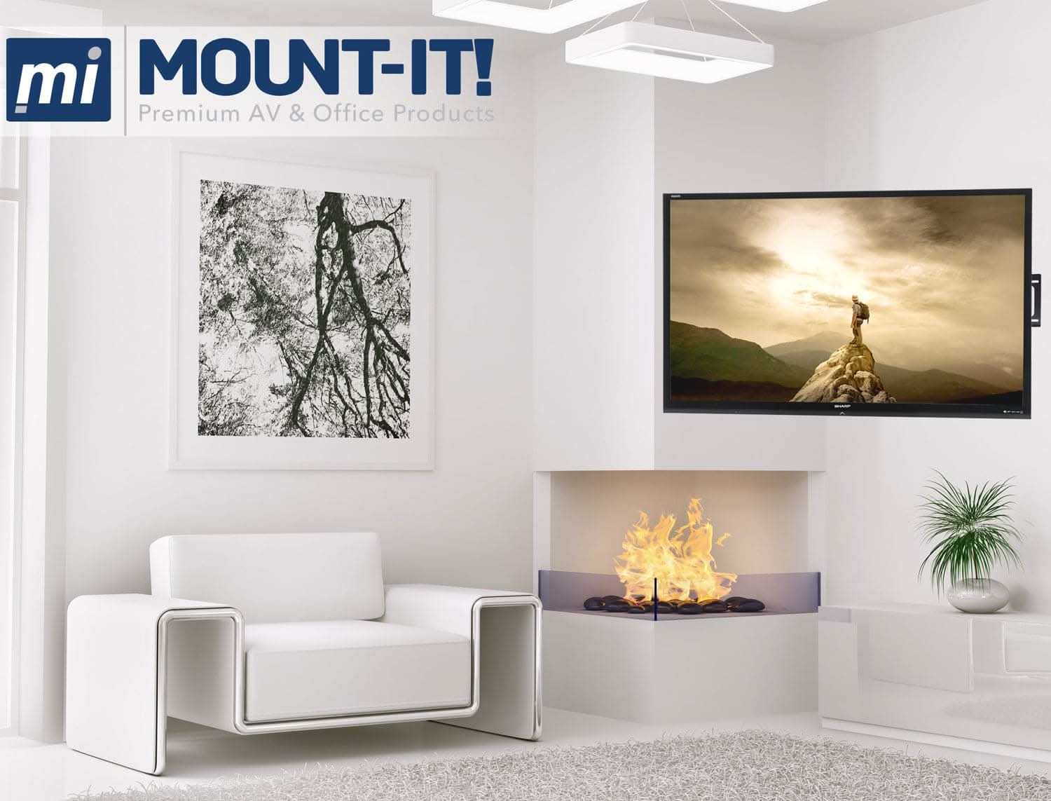 mi MOUNT-IT!  
Premium AV & Office Products