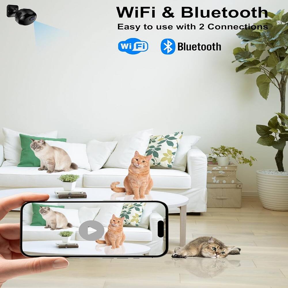 WiFi & Bluetooth  
Easy to use with 2 Connections  
WiFi  
Bluetooth