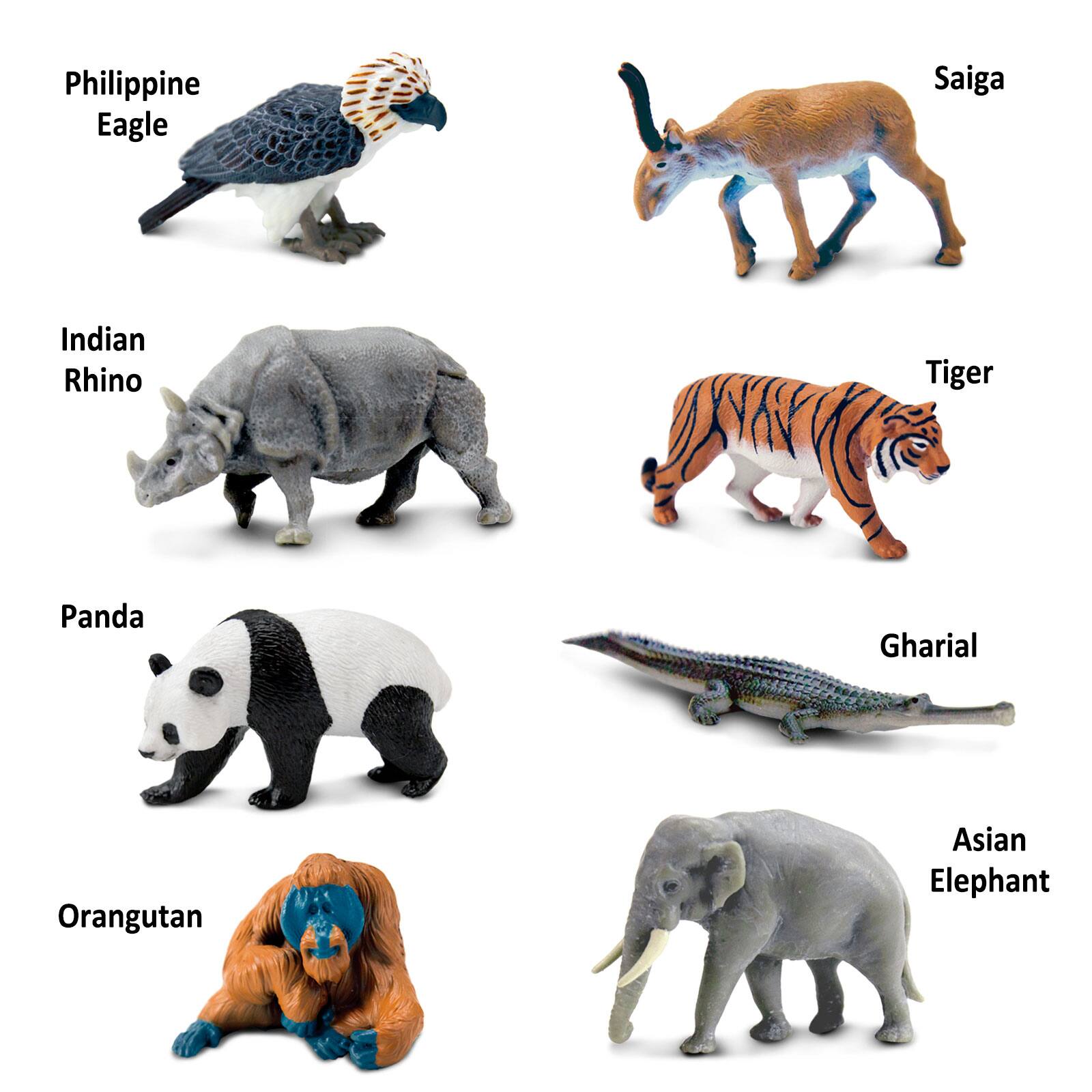 Philippine Eagle  
Indian Rhino  
Saiga  
Tiger  
Panda  
Gharial  
Orangutan  
Asian Elephant