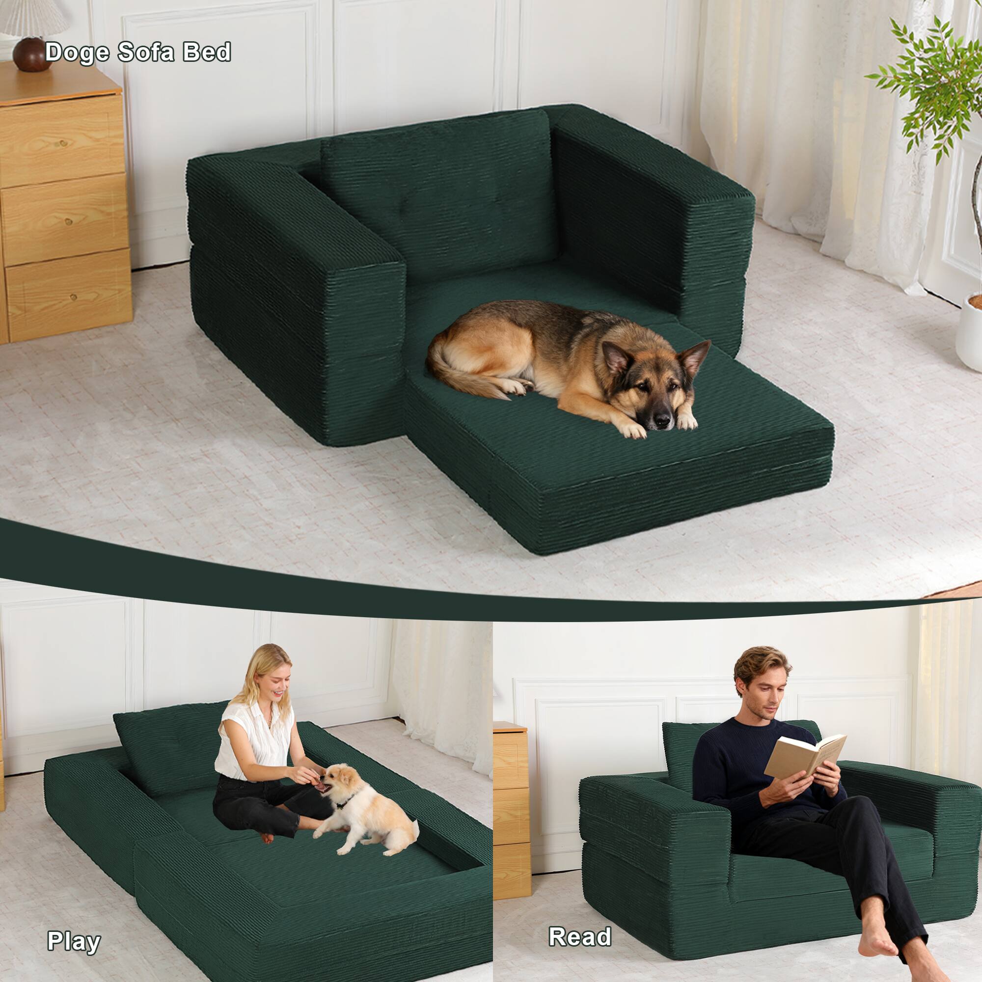 Doge Sofa Bed

Play

Read