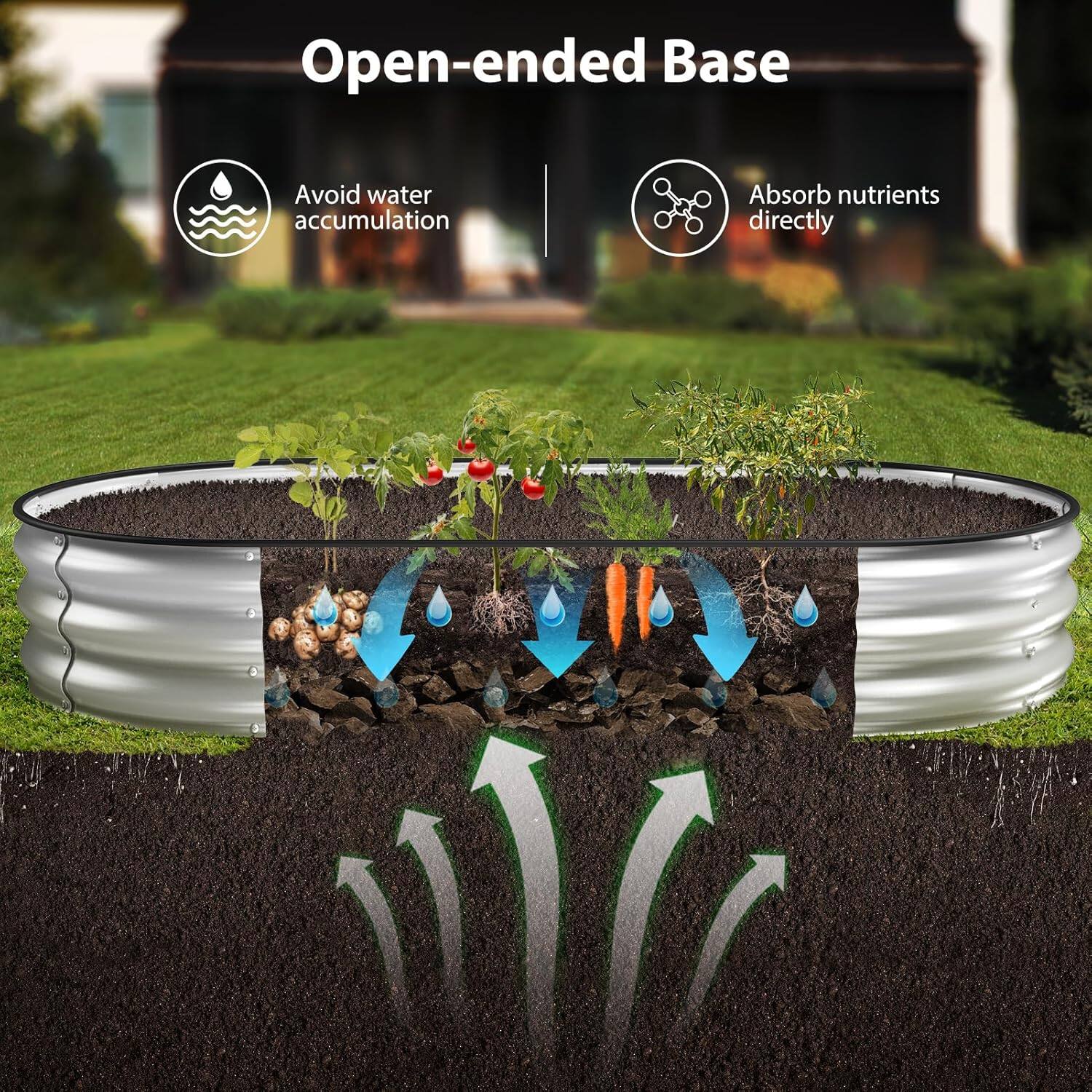 Open-ended Base

- Avoid water accumulation
- Absorb nutrients directly