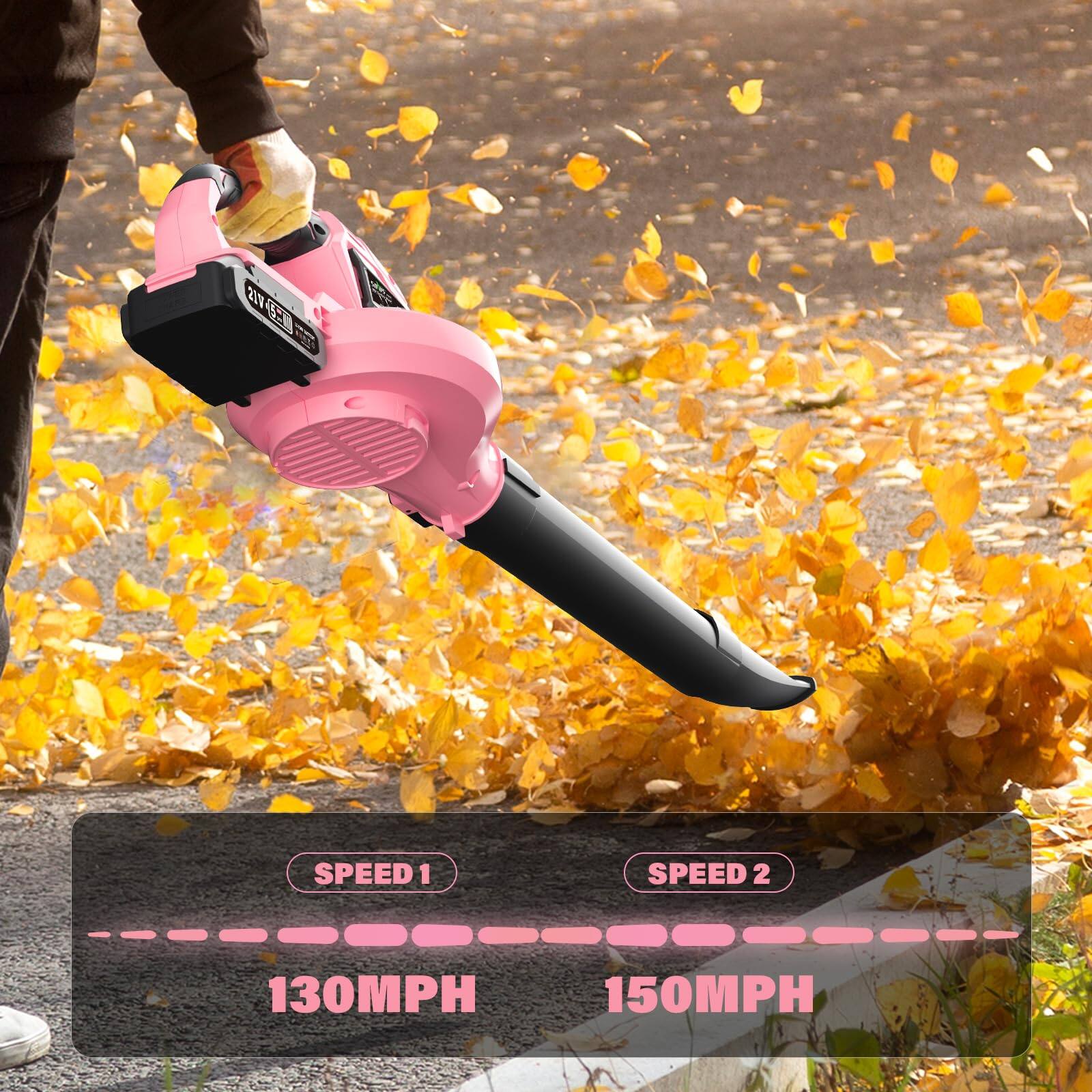 21V CgS  
SPEED 1  
130MPH  
SPEED 2  
150MPH