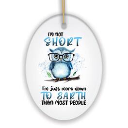 OrnamentallyYou - Down to Earth Owl Ceramic Ornament Cute and Funny Christmas Gift - Multi-colored