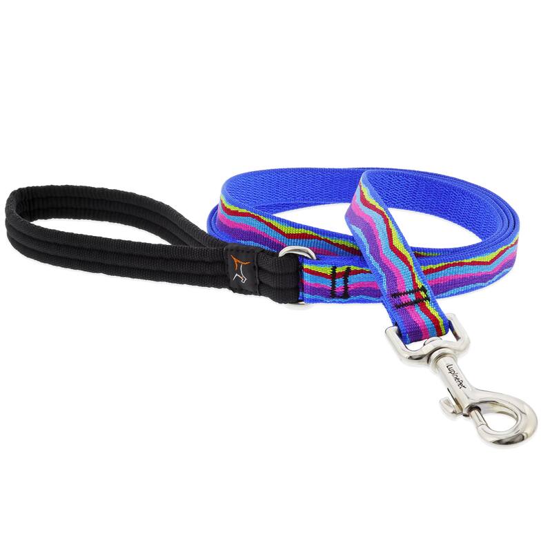 Angle. LupinePet - LupinePet Original Designs Multicolored Ripple Creek Nylon Dog Leash - Multicolored.
