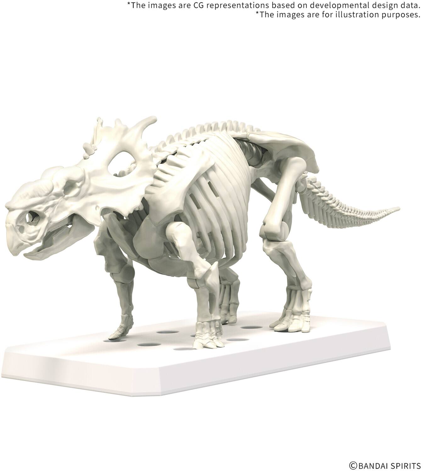 Bandai Hobby Plannosaurus #03 Pachyrhinosaurus Model Kit COLLECTIBLES ...