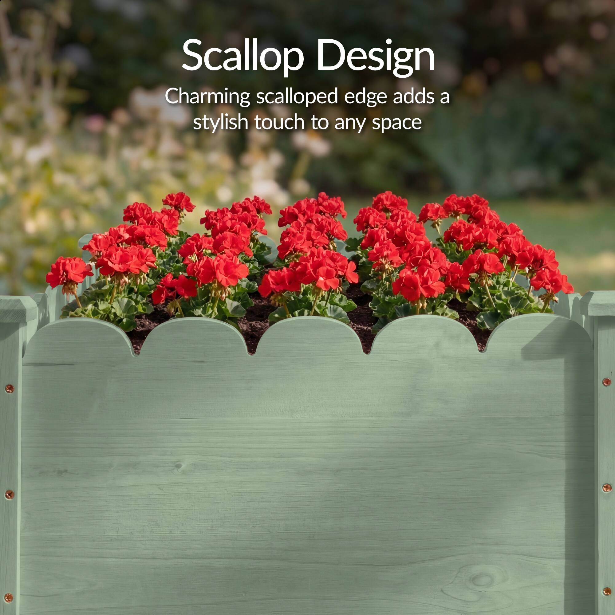 Scallop Design  
Charming scalloped edge adds a stylish touch to any space
