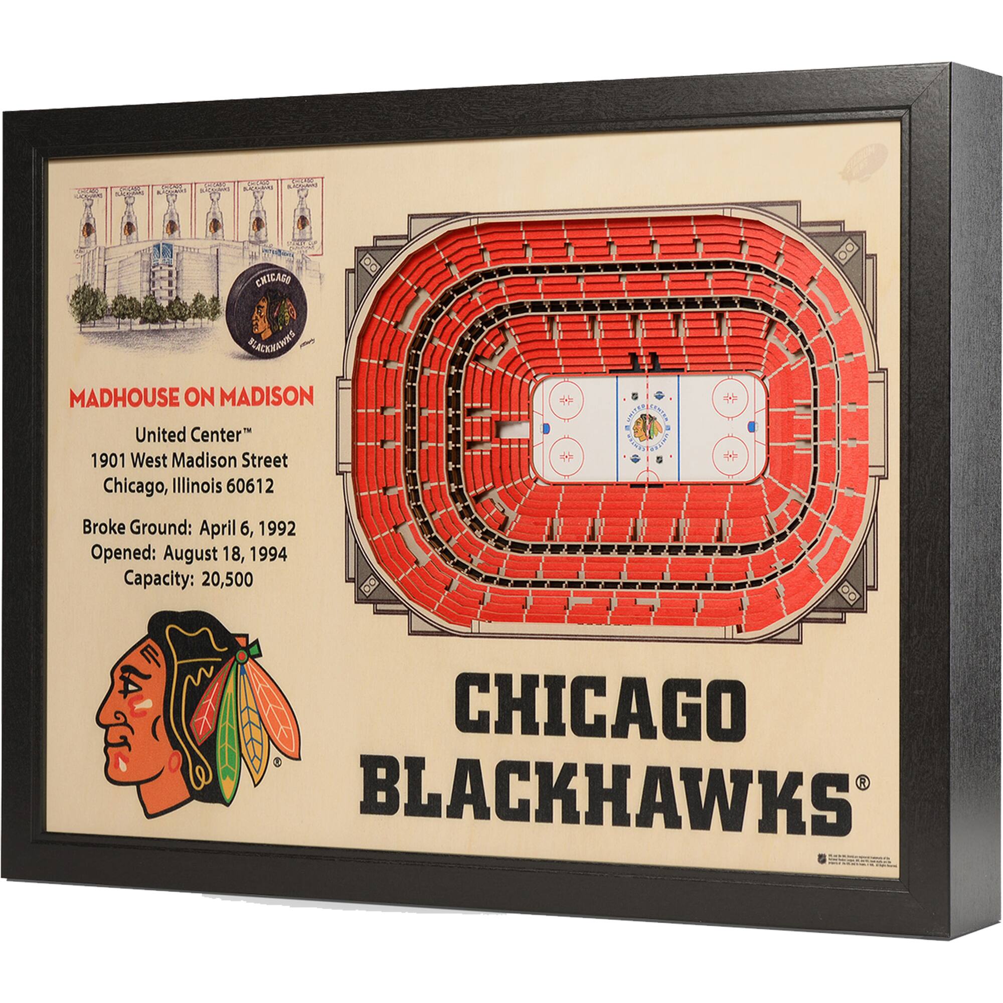 Chicago Blackhawks 27" x 21" United Center Wall Art
