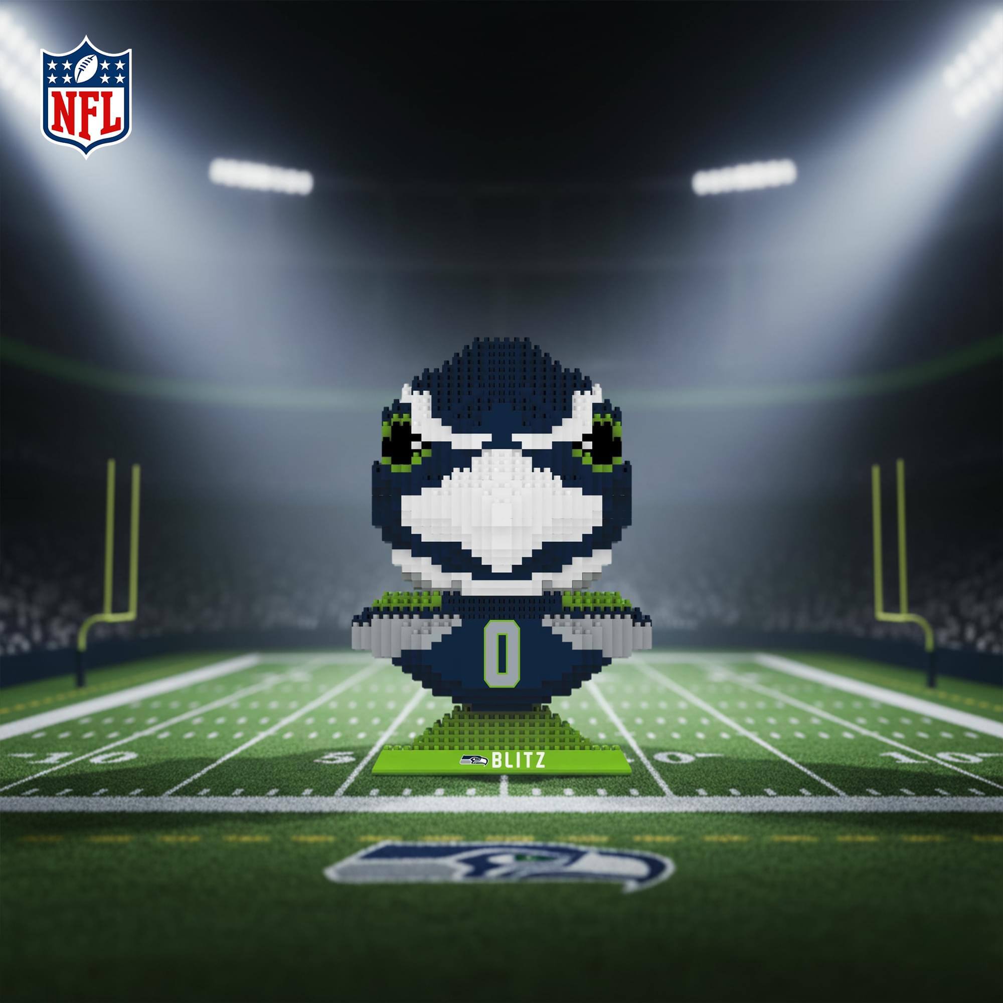 NFL 0/0 5 BLITZ NO. 0