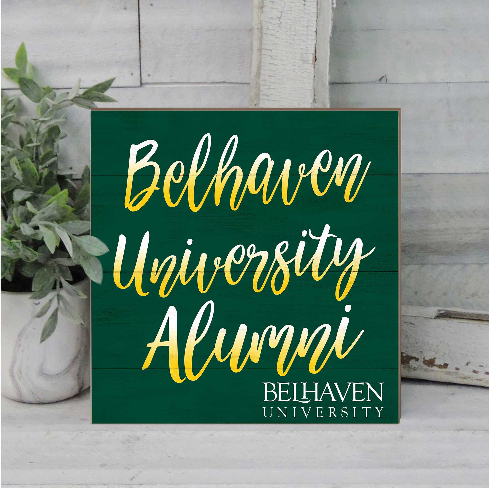 Belhaven University Alumni  
BELHAVEN UNIVERSITY