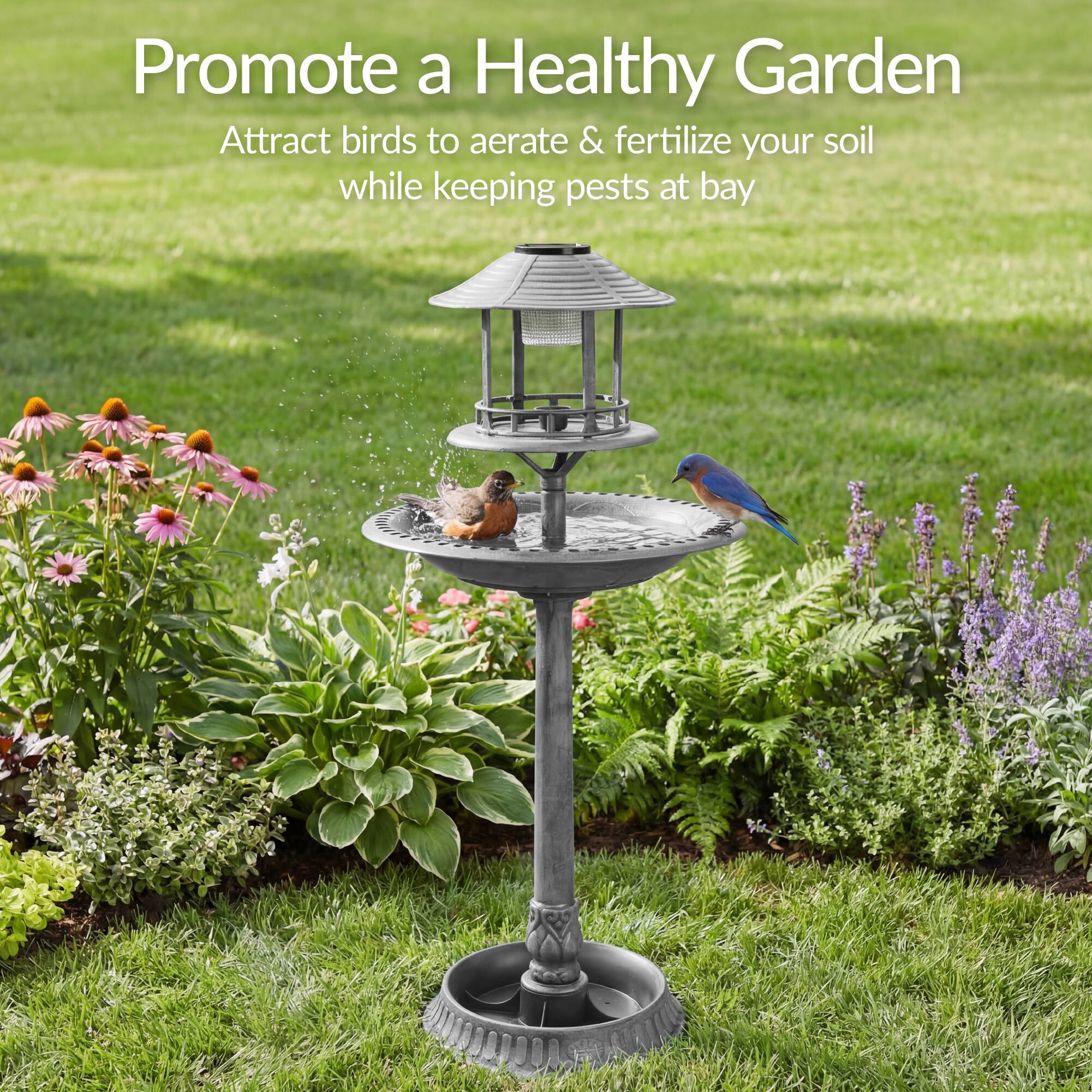 Promote a Healthy Garden  
Attract birds to aerate & fertilize your soil while keeping pests at bay